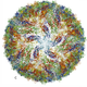 And illustration of the complexity of the Zika Virus (Image: The Royal Swedish Academy of Sciences)